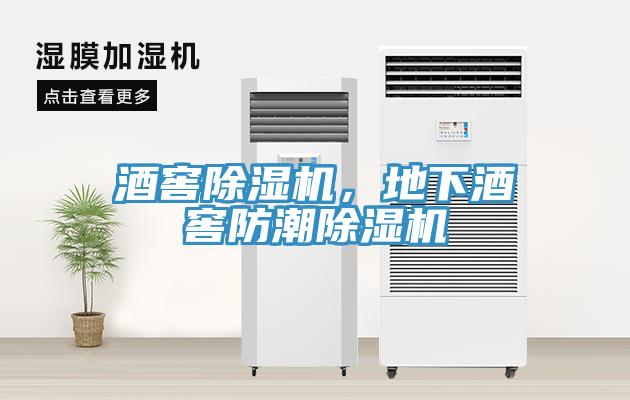 酒窖除濕機(jī)，地下酒窖防潮除濕機(jī)