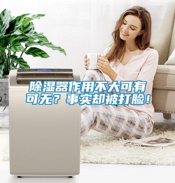 除濕器作用不大可有可無？事實卻被打臉！