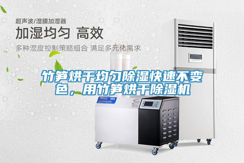 竹筍烘干均勻除濕快速不變色，用竹筍烘干除濕機(jī)