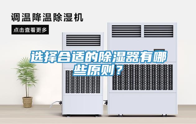 選擇合適的除濕器有哪些原則？