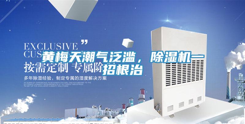 黃梅天潮氣泛濫，除濕機(jī)一招根治