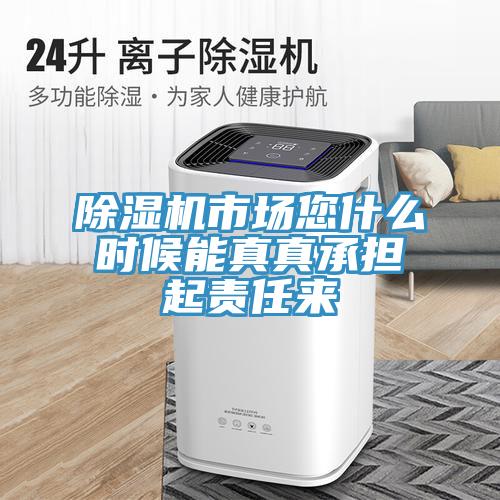 除濕機(jī)市場您什么時候能真真承擔(dān)起責(zé)任來
