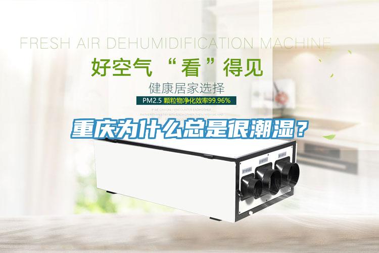 重慶為什么總是很潮濕？