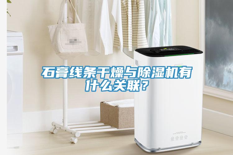 石膏線條干燥與除濕機有什么關聯？