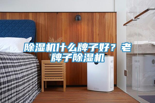 除濕機(jī)什么牌子好？老牌子除濕機(jī)