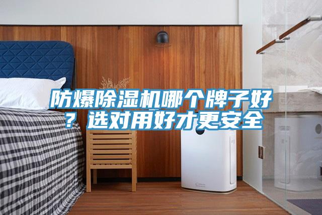 防爆除濕機(jī)哪個(gè)牌子好？選對(duì)用好才更安全