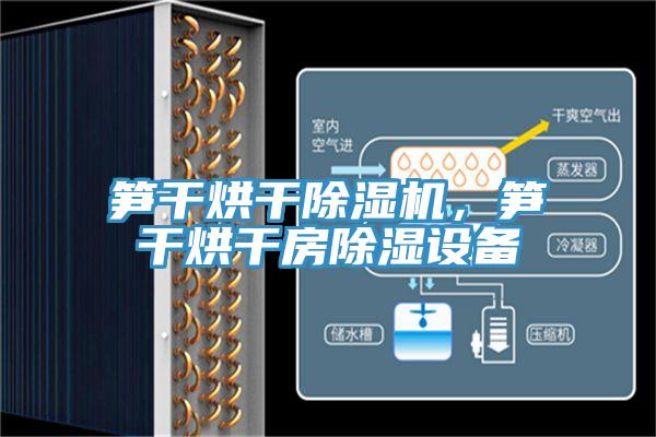 筍干烘干除濕機(jī)，筍干烘干房除濕設(shè)備