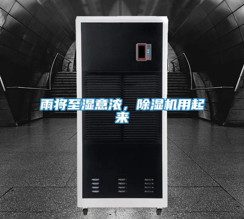 雨將至濕意濃，除濕機用起來