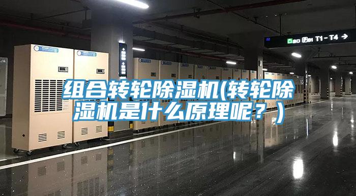 組合轉(zhuǎn)輪除濕機(jī)(轉(zhuǎn)輪除濕機(jī)是什么原理呢？)