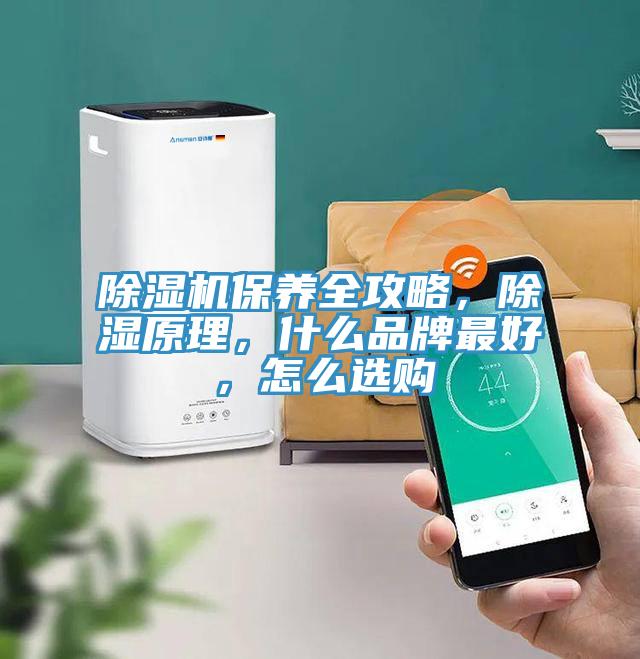 除濕機(jī)保養(yǎng)全攻略，除濕原理，什么品牌最好，怎么選購