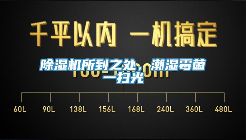 除濕機(jī)所到之處，潮濕霉菌一掃光
