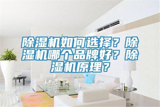 除濕機(jī)如何選擇？除濕機(jī)哪個(gè)品牌好？除濕機(jī)原理？