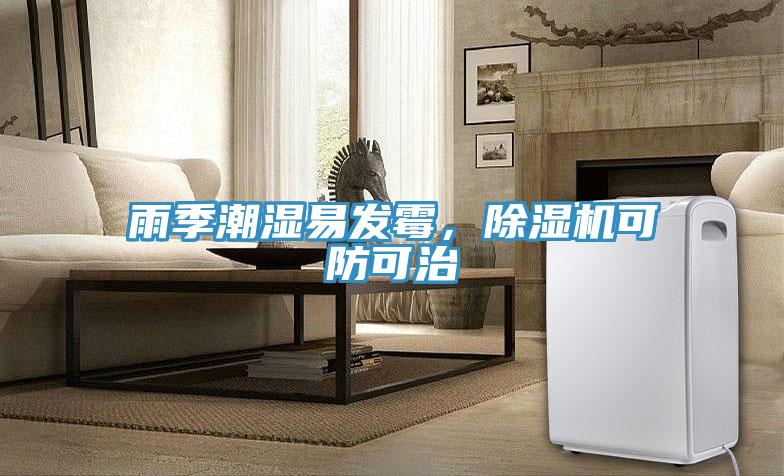 雨季潮濕易發(fā)霉，除濕機可防可治