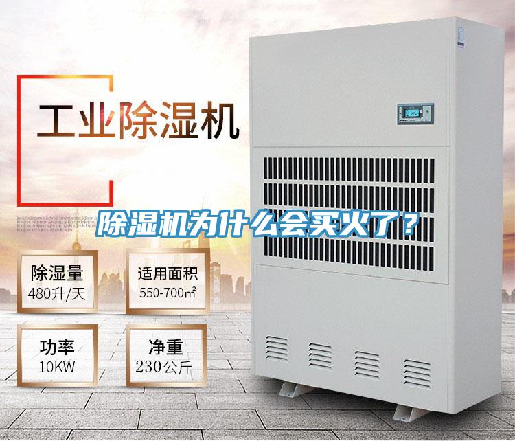 除濕機(jī)為什么會(huì)買火了？