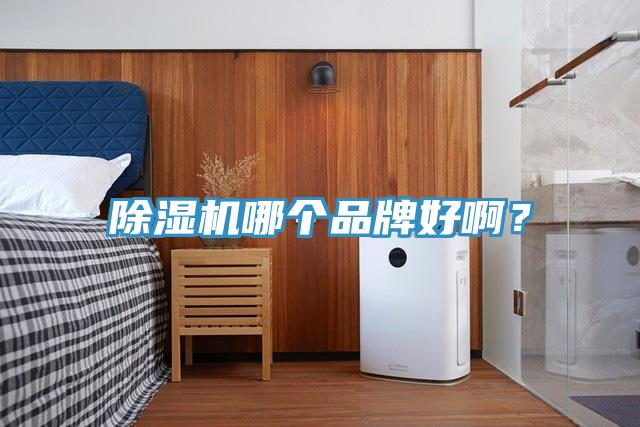 除濕機哪個品牌好?。?></div>
								<div   id=
