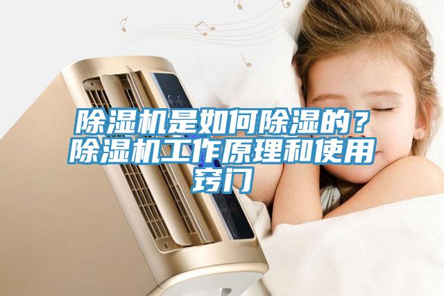 除濕機(jī)是如何除濕的？除濕機(jī)工作原理和使用竅門(mén)