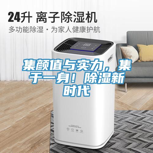集顏值與實力，集于一身！除濕新時代