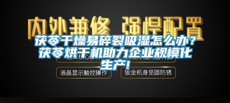 茯苓干燥易碎裂吸濕怎么辦？茯苓烘干機(jī)助力企業(yè)規(guī)模化生產(chǎn)!