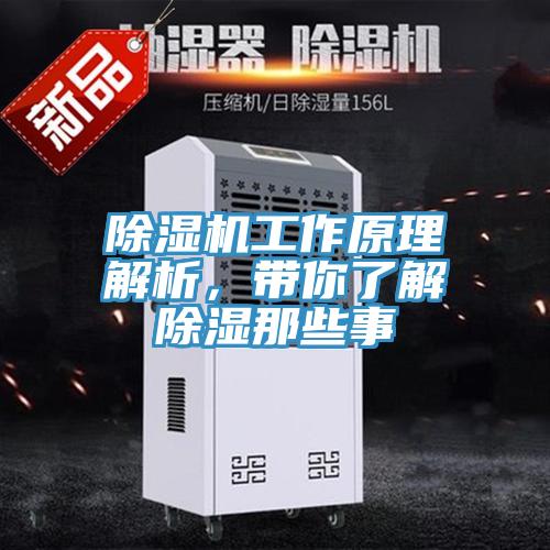 除濕機工作原理解析，帶你了解除濕那些事