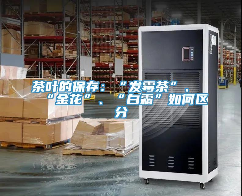 茶葉的保存：“發(fā)霉茶”、“金花”、“白霜”如何區(qū)分