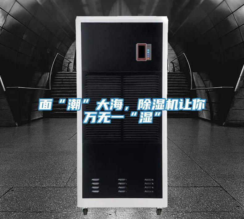面“潮”大海，除濕機(jī)讓你萬無一“濕”