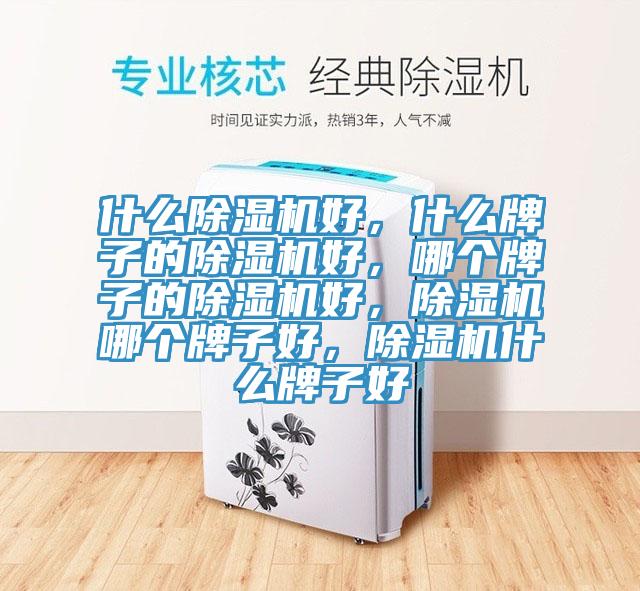 什么除濕機(jī)好，什么牌子的除濕機(jī)好，哪個(gè)牌子的除濕機(jī)好，除濕機(jī)哪個(gè)牌子好，除濕機(jī)什么牌子好