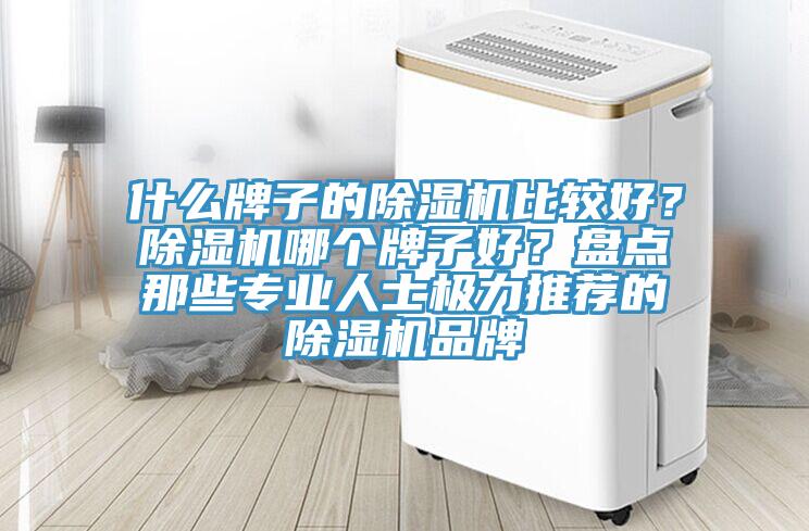 什么牌子的除濕機(jī)比較好？除濕機(jī)哪個牌子好？盤點(diǎn)那些專業(yè)人士極力推薦的除濕機(jī)品牌