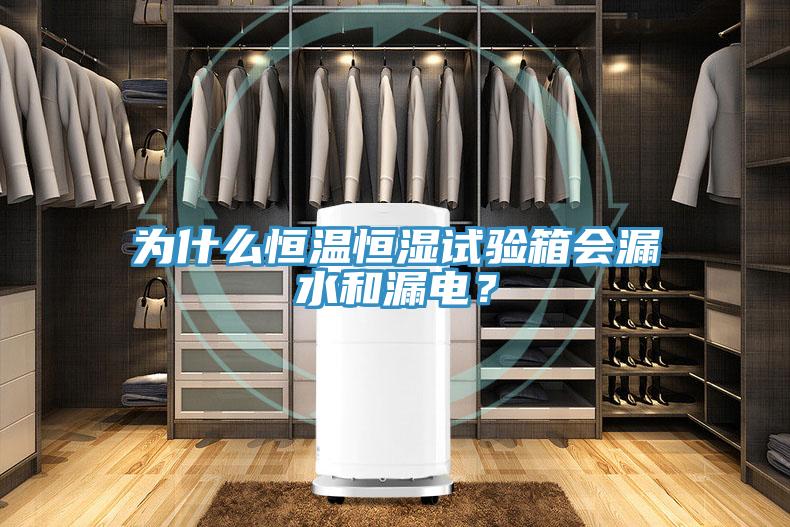 為什么恒溫恒濕試驗箱會漏水和漏電？