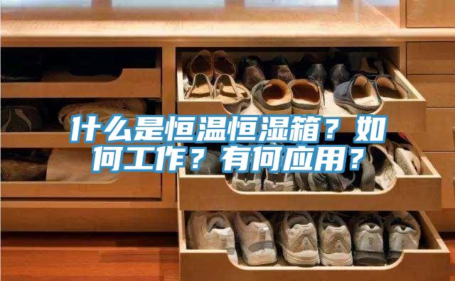 什么是恒溫恒濕箱？如何工作？有何應(yīng)用？