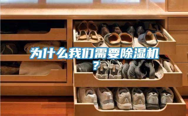 為什么我們需要除濕機(jī)？