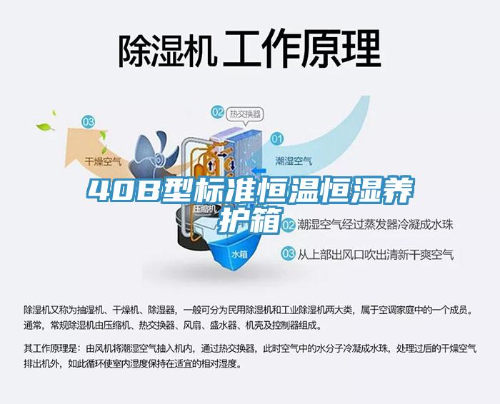 40B型標(biāo)準(zhǔn)恒溫恒濕養(yǎng)護箱