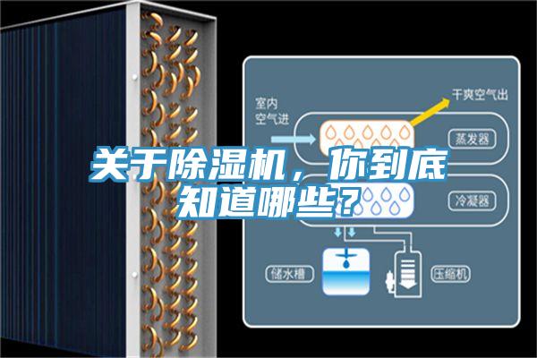 關(guān)于除濕機(jī)，你到底知道哪些？