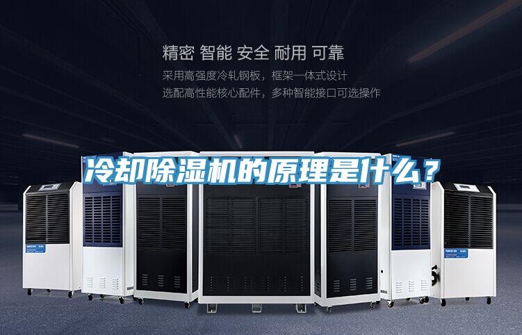 冷卻除濕機的原理是什么？