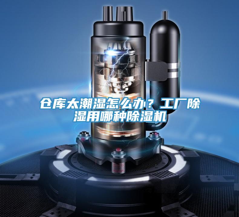 倉庫太潮濕怎么辦？工廠除濕用哪種除濕機