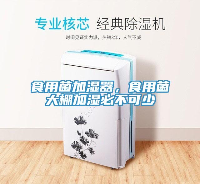 食用菌加濕器，食用菌大棚加濕必不可少