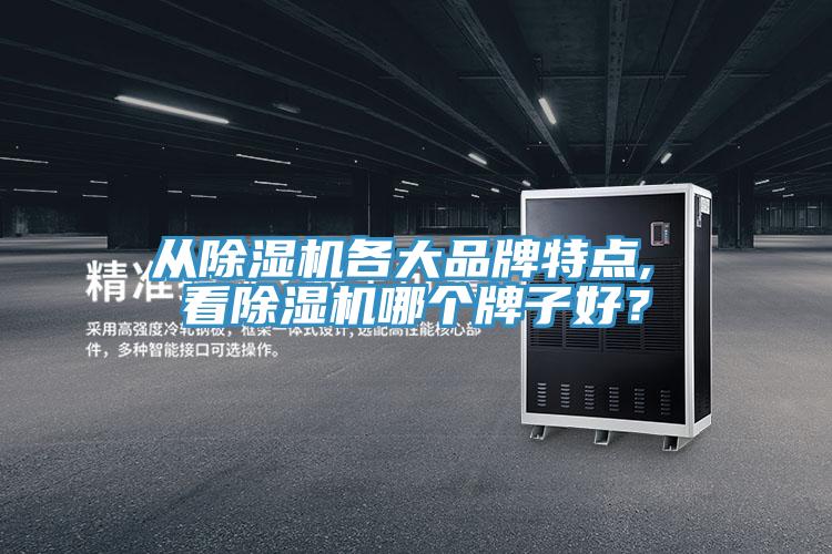 從除濕機(jī)各大品牌特點(diǎn), 看除濕機(jī)哪個牌子好？