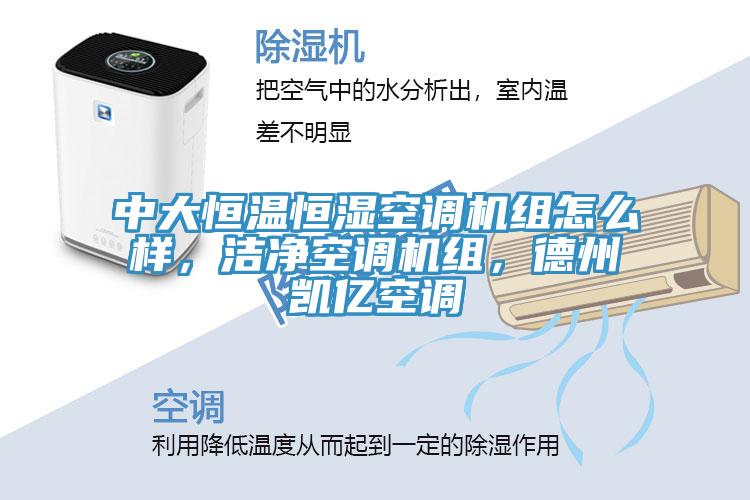 中大恒溫恒濕空調(diào)機(jī)組怎么樣，潔凈空調(diào)機(jī)組，德州凱億空調(diào)