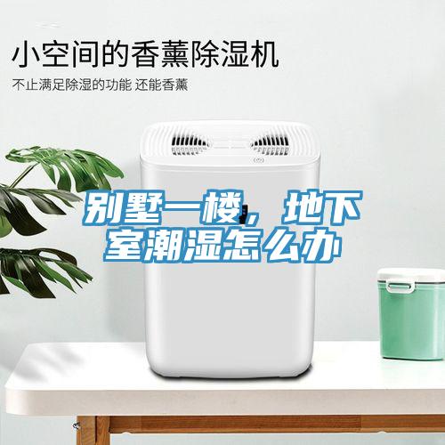 別墅一樓，地下室潮濕怎么辦
