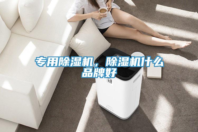 專用除濕機(jī)，除濕機(jī)什么品牌好