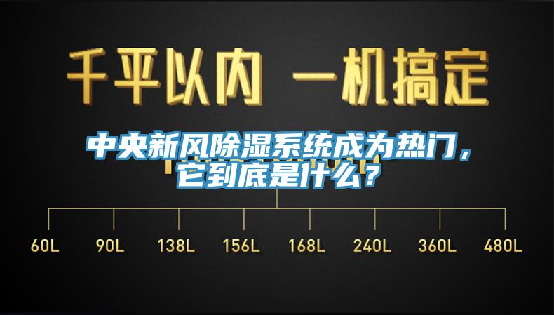 中央新風除濕系統(tǒng)成為熱門，它到底是什么？