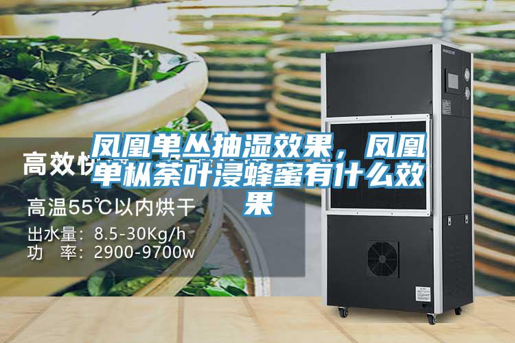 鳳凰單叢抽濕效果，鳳凰單樅荼葉浸蜂蜜有什么效果