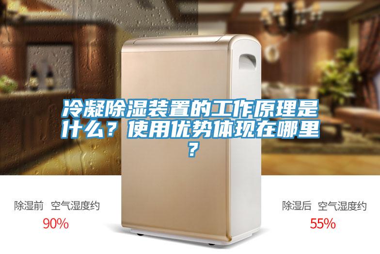 冷凝除濕裝置的工作原理是什么？使用優(yōu)勢(shì)體現(xiàn)在哪里？