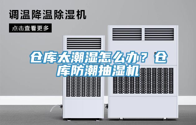 倉庫太潮濕怎么辦？倉庫防潮抽濕機