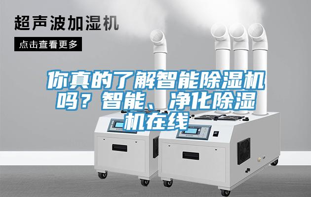 你真的了解智能除濕機(jī)嗎？智能、凈化除濕機(jī)在線