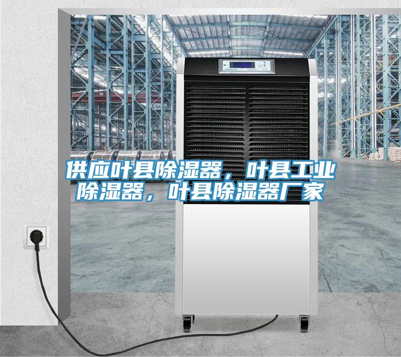 供應(yīng)葉縣除濕器，葉縣工業(yè)除濕器，葉縣除濕器廠家