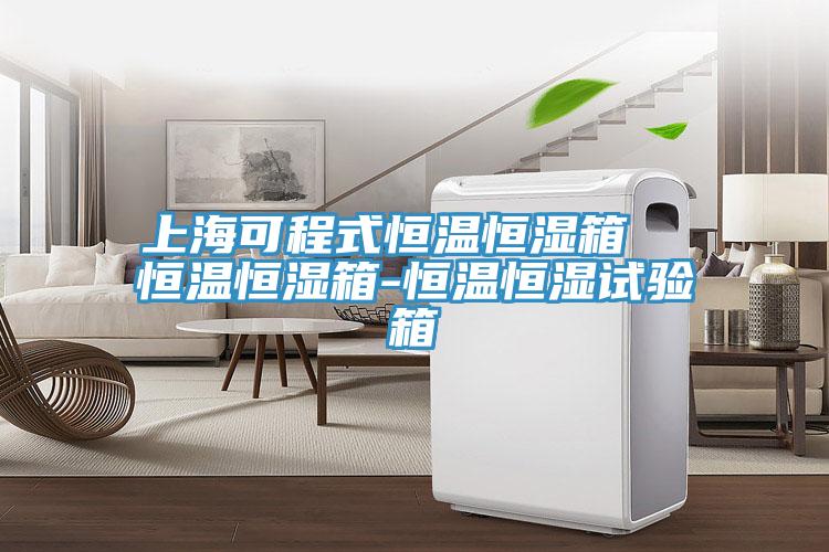 上?？沙淌胶銣睾銤裣? 恒溫恒濕箱-恒溫恒濕試驗箱