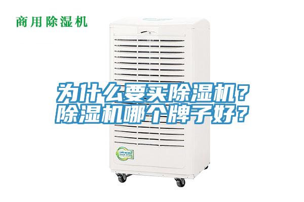 為什么要買除濕機？除濕機哪個牌子好？