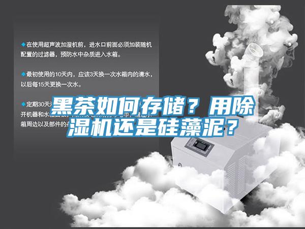 黑茶如何存儲？用除濕機還是硅藻泥？