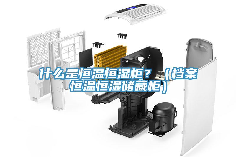 什么是恒溫恒濕柜？（檔案恒溫恒濕儲藏柜）