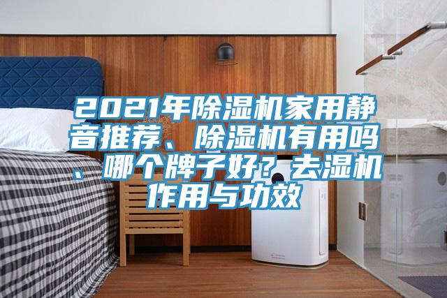 2021年除濕機(jī)家用靜音推薦、除濕機(jī)有用嗎、哪個(gè)牌子好？去濕機(jī)作用與功效